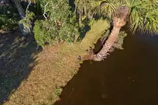 1206 Jungle Rd, Edisto Island, SC 29438 - Photo 45