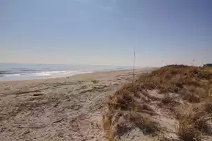 9000 Palmetto Dr #G 201, Isle Of Palms, SC 29451 - Photo 43