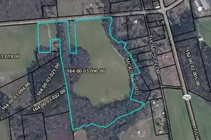 Tbd Moses Dingle Rd, Manning, SC 29102 - Photo 1