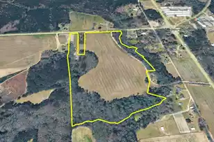 Tbd Moses Dingle Rd, Manning, SC 29102 - Photo 1