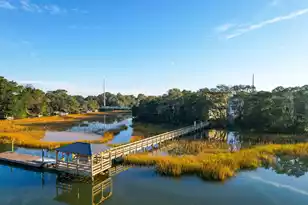 818 Curved Crk Ct, Charleston, SC 29412 - Photo 7