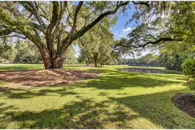 290 Delahow Street, Charleston, SC 29492 - Photo 93