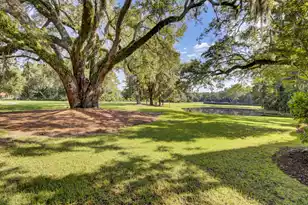 290 Delahow St, Charleston, SC 29492 - Photo 93