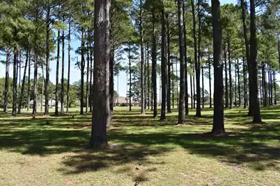 400 Pine Lake Court, Manning, SC 29102 - Photo 11