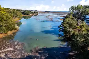 4882 Sound View Dr, Mount Pleasant, SC 29466 - Photo 63