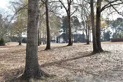 20 Lake Arbu Drive, Manning, SC 29102 - Photo 3