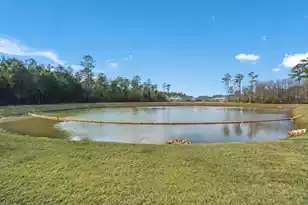 265 Wappoo Trce Ln, Summerville, SC 29486 - Photo 33