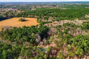 316 Forever Eclipse Ln, Cross, SC 29436 - Photo 39