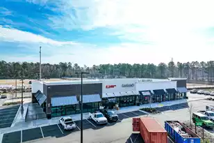 424 Eagleview Dr, Moncks Corner, SC 29461 - Photo 39