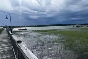 2556 River Lake Walk, Mount Pleasant, SC 29466 - Photo 95