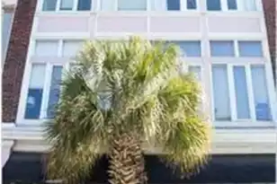 350 King St, Charleston, SC 29401 - Photo 1