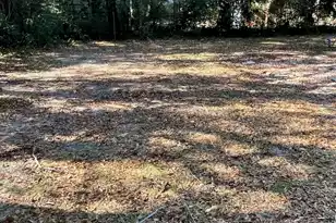 1218 Wichman St, Walterboro, SC 29488 - Photo 19