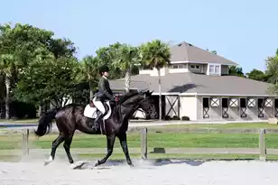 908 Sealoft Villa Dr, Seabrook Island, SC 29455 - Photo 75