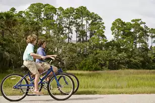 908 Sealoft Villa Dr, Seabrook Island, SC 29455 - Photo 99