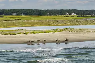 908 Sealoft Villa Dr, Seabrook Island, SC 29455 - Photo 71