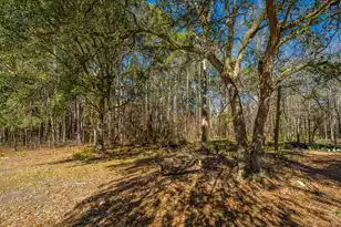 153 Rogers Branch Rd, Ridgeville, SC 29472 - Photo 53