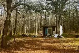 153 Rogers Branch Rd, Ridgeville, SC 29472 - Photo 27