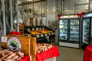 418 Caledon Ct, Johns Island, SC 29455 - Photo 49