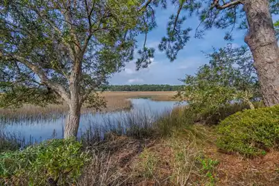 8460 Chisolm Plantation Road, Edisto Island, SC 29438 - Photo 59