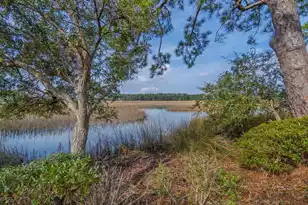 8460 Chisolm Plantation Rd, Edisto Island, SC 29438 - Photo 59