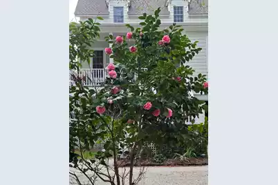 8460 Chisolm Plantation Road, Edisto Island, SC 29438 - Photo 51