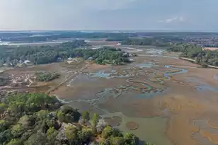 8460 Chisolm Plantation Rd, Edisto Island, SC 29438 - Photo 67