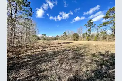 643 Dennis Ridge Road, Bonneau, SC 29431 - Photo 3