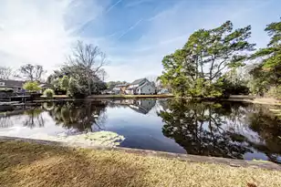 705 Chatter Rd, Mount Pleasant, SC 29464 - Photo 63