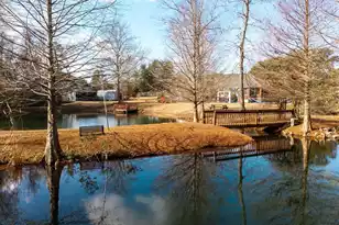 1146 Oak Grove Church Rd Rd, Manning, SC 29102 - Photo 51