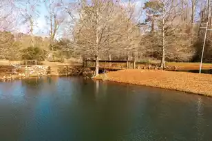 1146 Oak Grove Church Rd Rd, Manning, SC 29102 - Photo 63