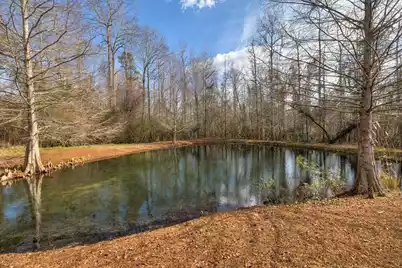 1146 Oak Grove Church Rd Road, Manning, SC 29102 - Photo 45