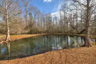 1146 Oak Grove Church Rd Rd, Manning, SC 29102 - Photo 45