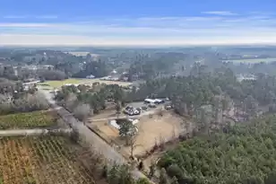 6293 Ehrhardt Rd, Ehrhardt, SC 29081 - Photo 55