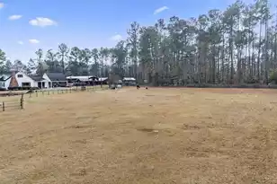 6293 Ehrhardt Rd, Ehrhardt, SC 29081 - Photo 53