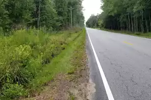 0 Jacksonboro Rd, Round O, SC 29474 - Photo 1