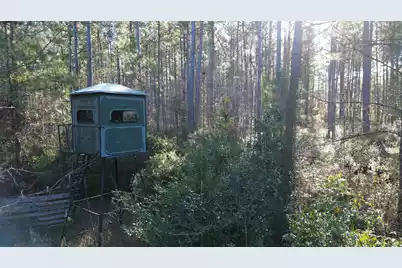 0 Highway 17A, Jamestown, SC 29453 - Photo 5