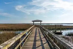 1472 Red Tide Rd, Mount Pleasant, SC 29466 - Photo 65