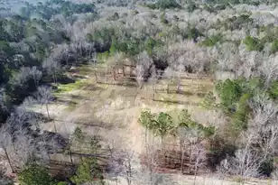 1 Crystal Lake Trail, Huger, SC 29450 - Photo 1