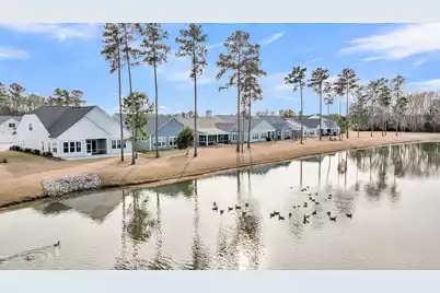 327 Tupelo Lake Drive, Summerville, SC 29486 - Photo 73