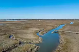 1710 Live Oak Park, Seabrook Island, SC 29455 - Photo 3