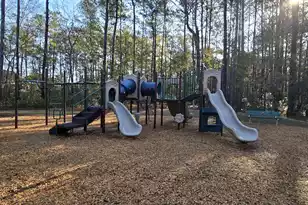 517 Nelliefield Trail, Charleston, SC 29492 - Photo 53