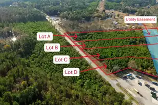 000 Ranger Dr #Lot C, Cross, SC 29436 - Photo 1