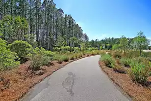 274 Calm Water Way, Summerville, SC 29486 - Photo 55