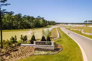 191 Bee Tree Blvd, Summerville, SC 29486 - Photo 9