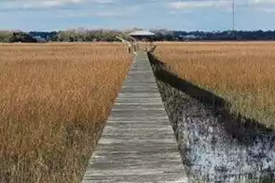2720 Goldbug Ave, Sullivans Island, SC 29482 - Photo 5