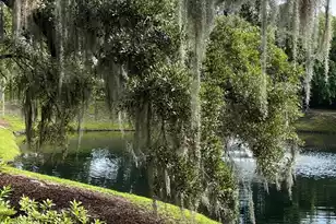 1421 Rosewood Ln, Mount Pleasant, SC 29464 - Photo 33