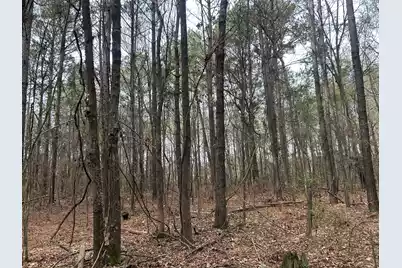 1465 Jakes Road, Turbeville, SC 29162 - Photo 21