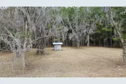 1465 Jakes Road, Turbeville, SC 29162 - Photo 9