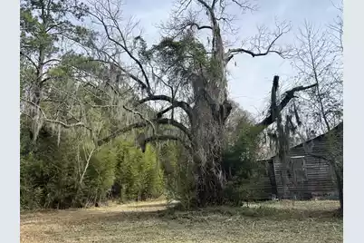 1465 Jakes Road, Turbeville, SC 29162 - Photo 33