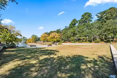 125 Trumpet Vine Drive, Summerville, SC 29483 - Photo 49